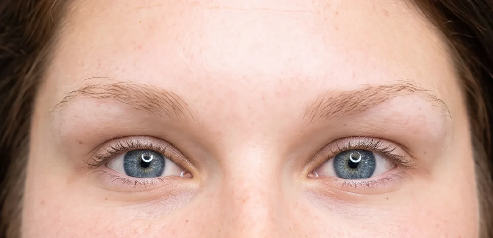 Brows before nano treatment